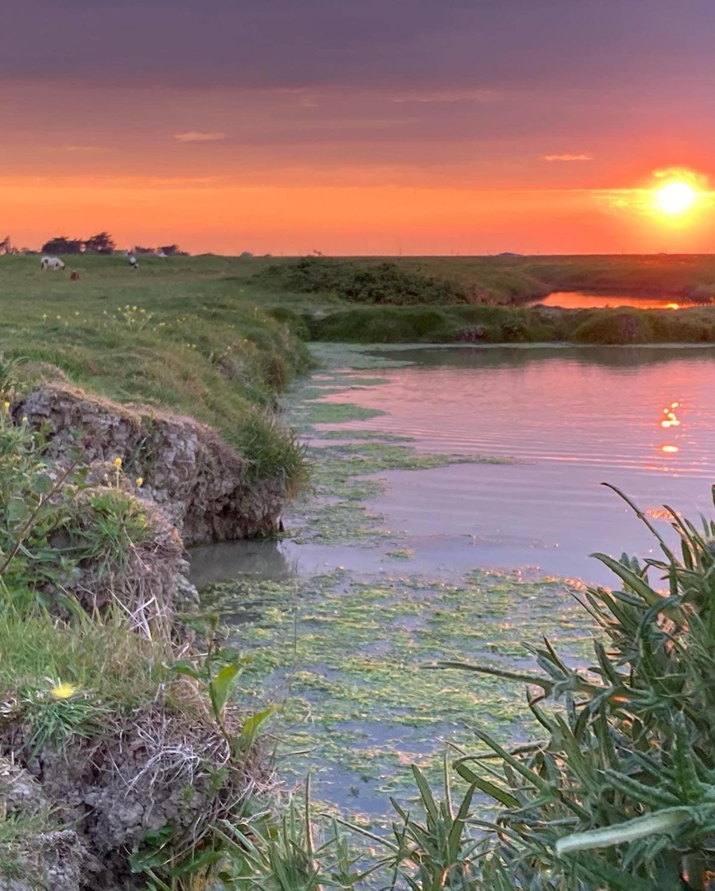 Les Pensions Du Joslin Bouin  ภายนอก รูปภาพ